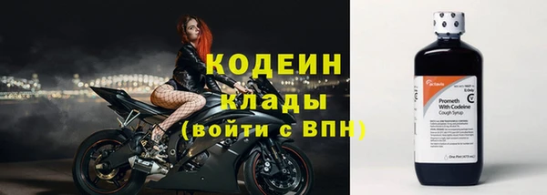 дурь Новодвинск