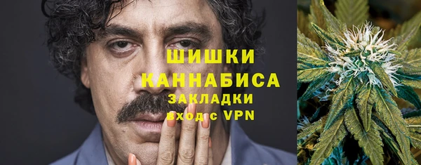 дурь Новодвинск