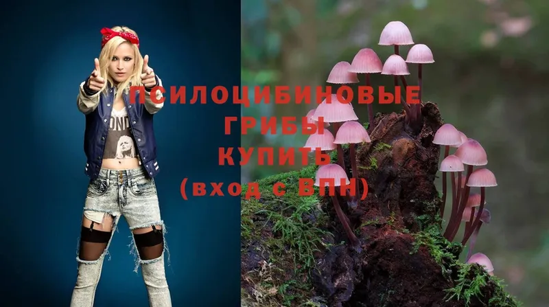 купить   shop какой сайт  Псилоцибиновые грибы MAGIC MUSHROOMS  Трубчевск 