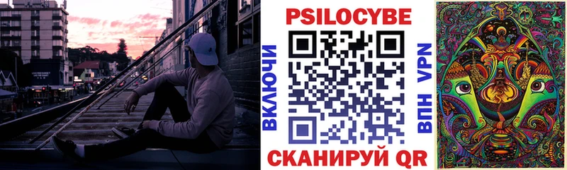 закладки  Трубчевск  Псилоцибиновые грибы Psilocybine cubensis 